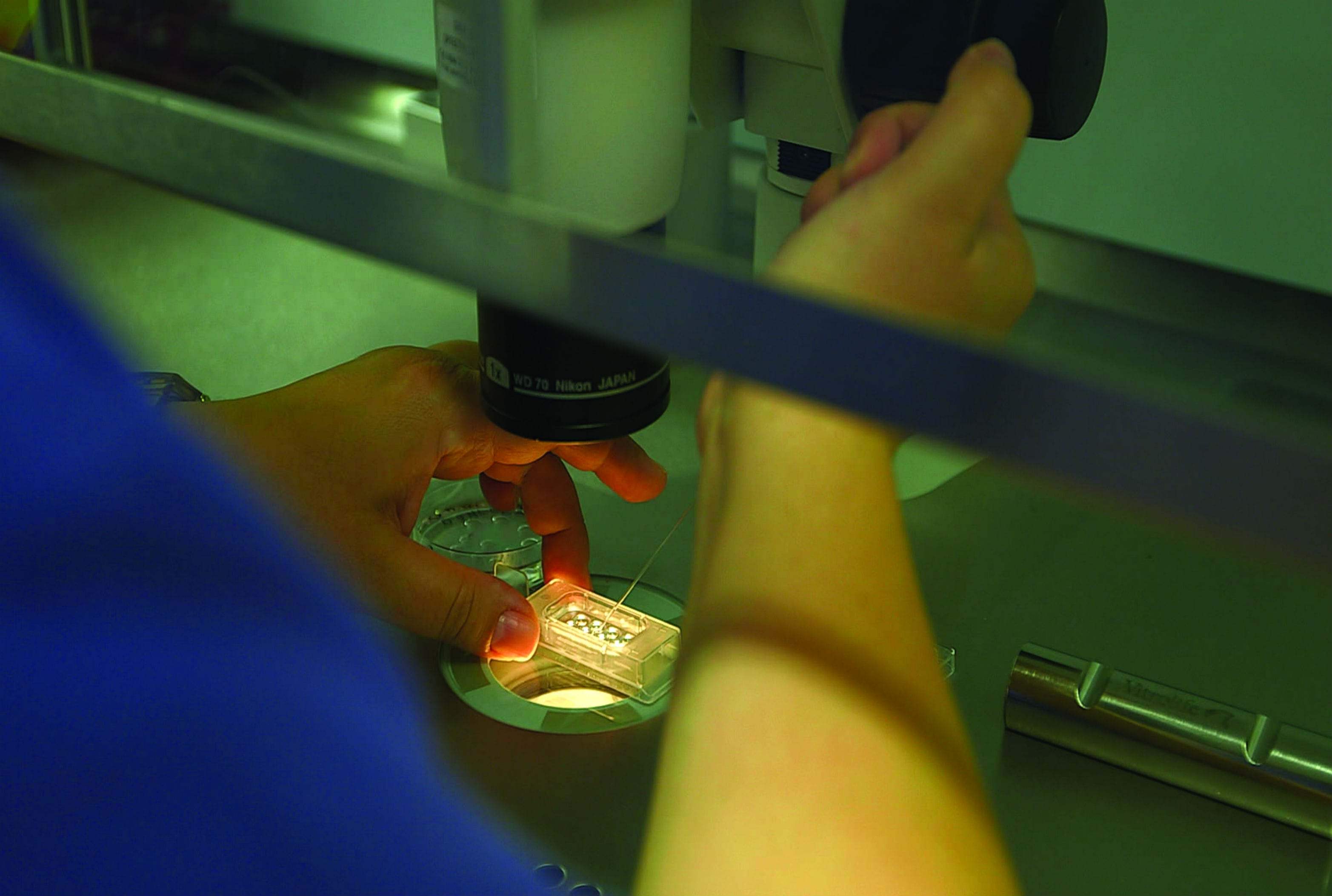 Embryologist Injecting