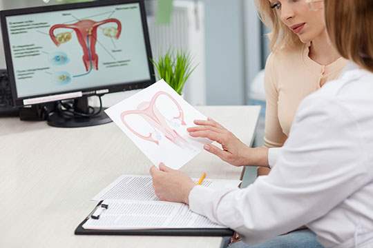 Woman and doctor talking about the womb