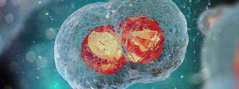 The benefits of egg freezing