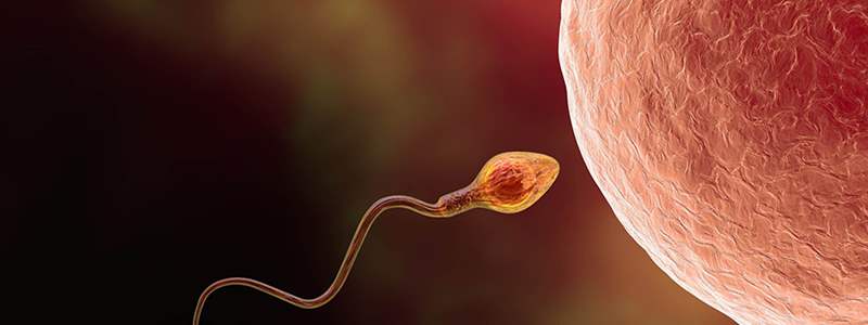 Why choose Natural IVF with IVM?