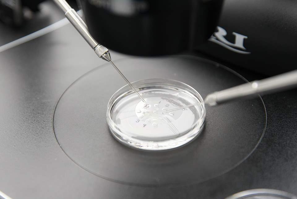 Calls for national tariff on IVF