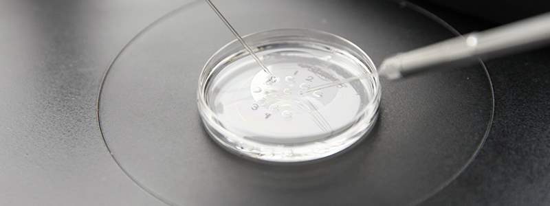 Calls for national tariff on IVF