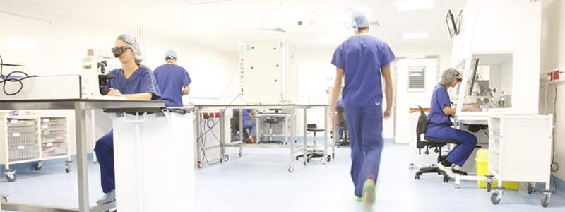 The difference between Mild & Natural Modified IVF