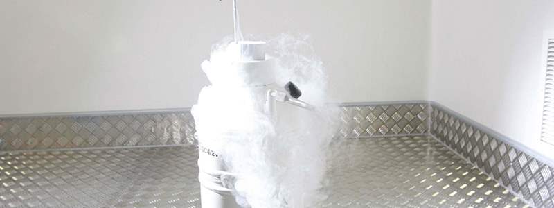 Egg freezing guide
