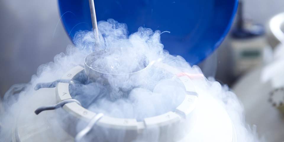 Egg freezing myths and facts