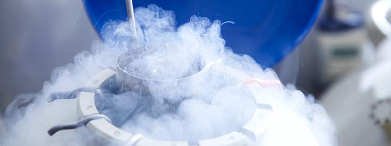 Egg freezing myths and facts