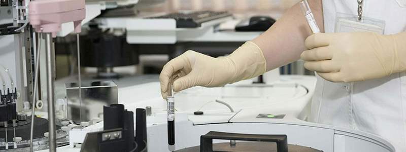 Scientific breakthrough made to create sperm and egg cells