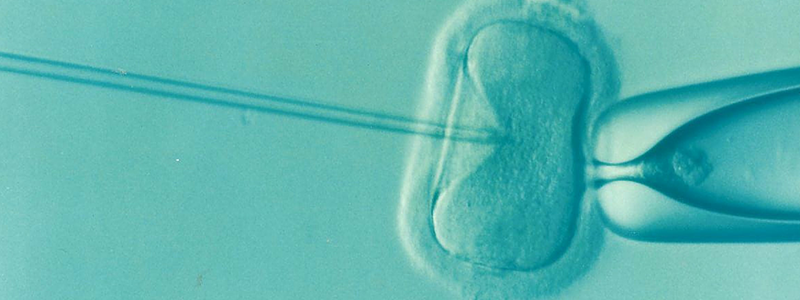Gene editing of human embryos