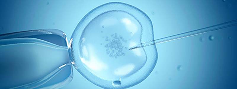 Comparing Natural IVF to conventional IVF