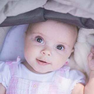 Baby looking out of pram