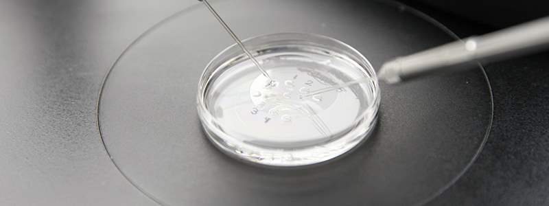 Delayed implantation