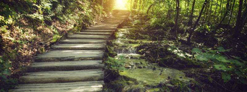 Your IVF journey, first contact to treatment