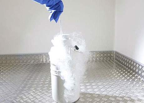Fertility preservation