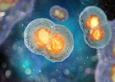 Pre-implantation Genetic Diagnosis (PGD)