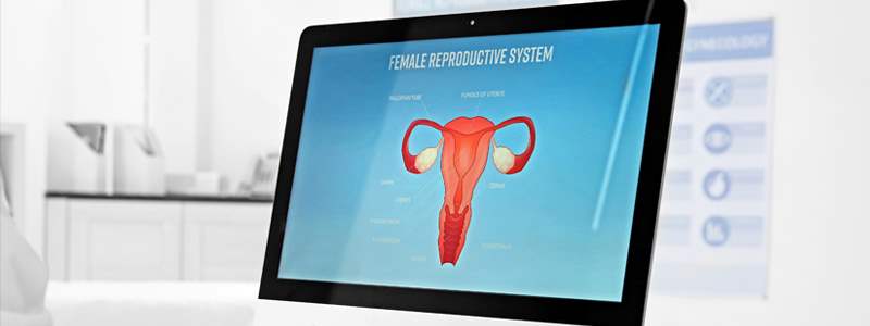 What is a Hysteroscopy?