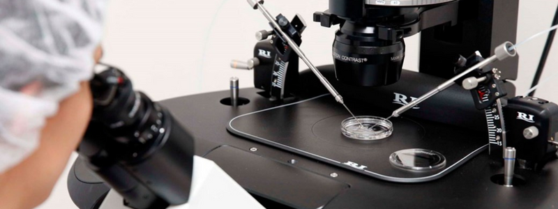 What makes a good embryo for IVF