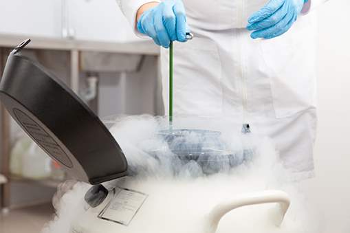 Egg freezing vs embryo freezing: which option is best