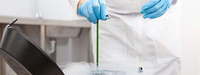 Egg freezing vs embryo freezing: which option is best