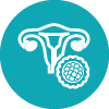 Have a good ovarian reserve with both ovaries in place